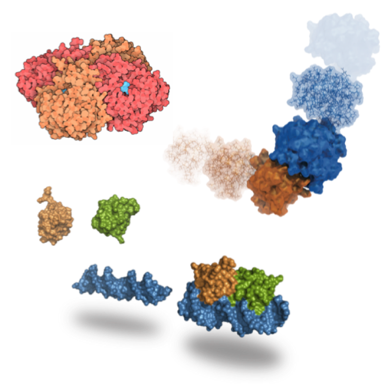 Molecular Recognition – BioExcel – Centre Of Excellence For Computation ...