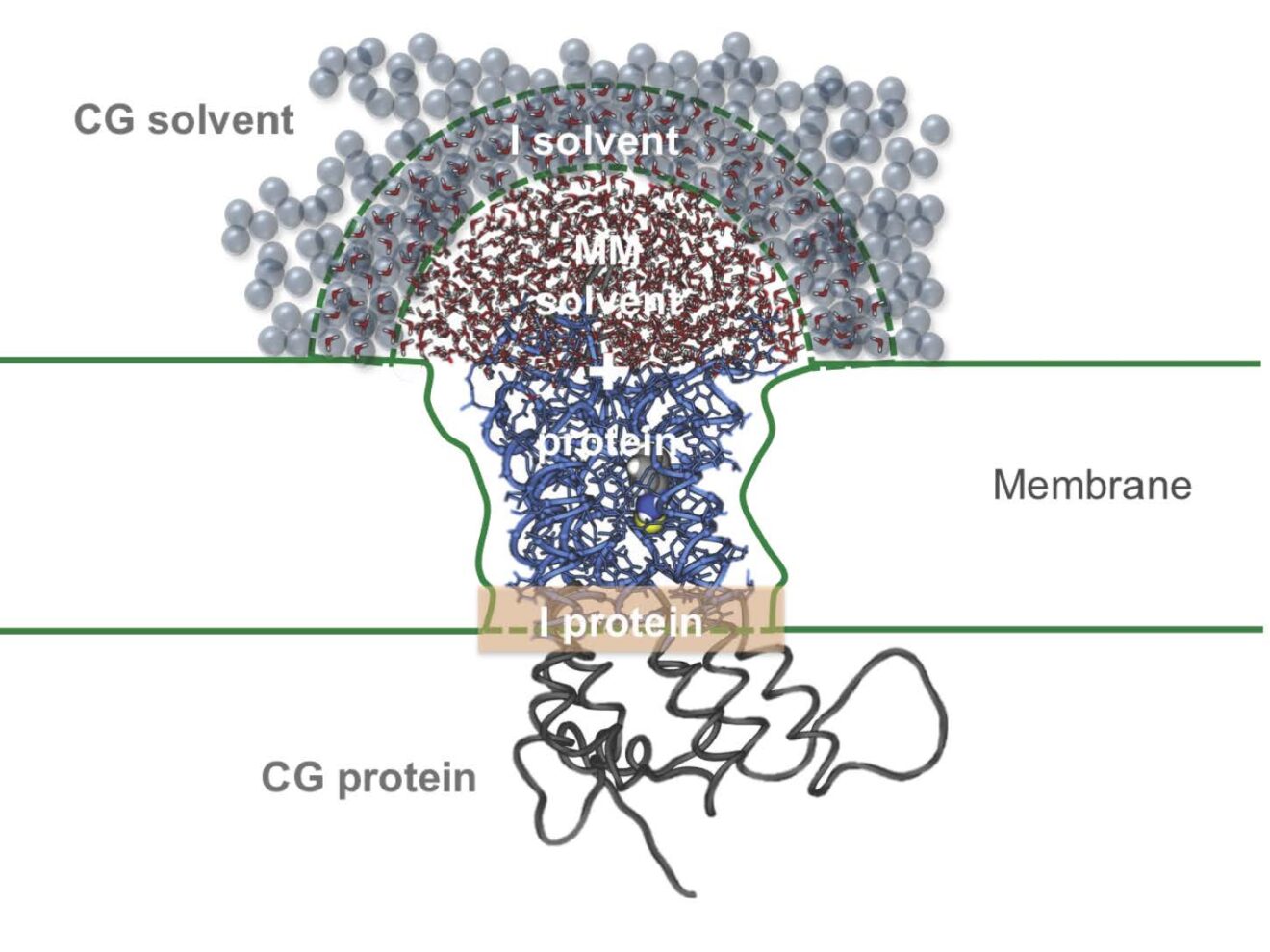 Webinar: Hybrid Molecular Mechanics/Coarse-Grained approaches to model proteins with unknown 3D structure and low sequence identity: the case of G protein-coupled receptors (2017-12-14)