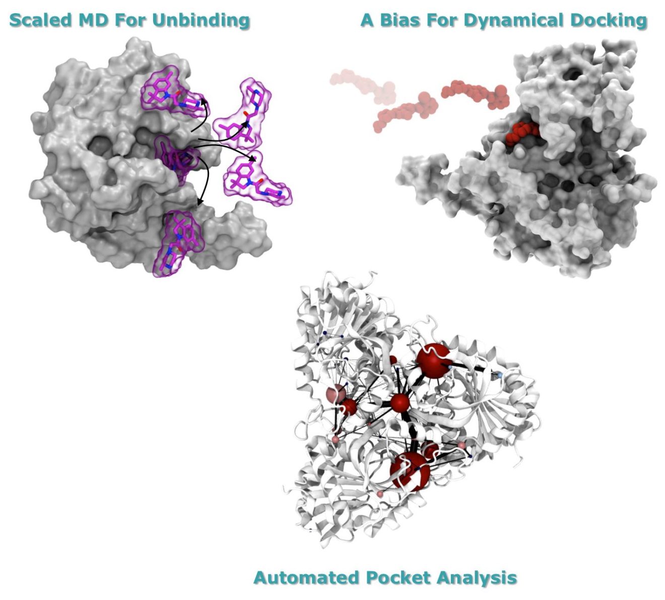 Webinar: Finding a trade-off between speed and accuracy in protein-ligand binding description (2018-04-26)