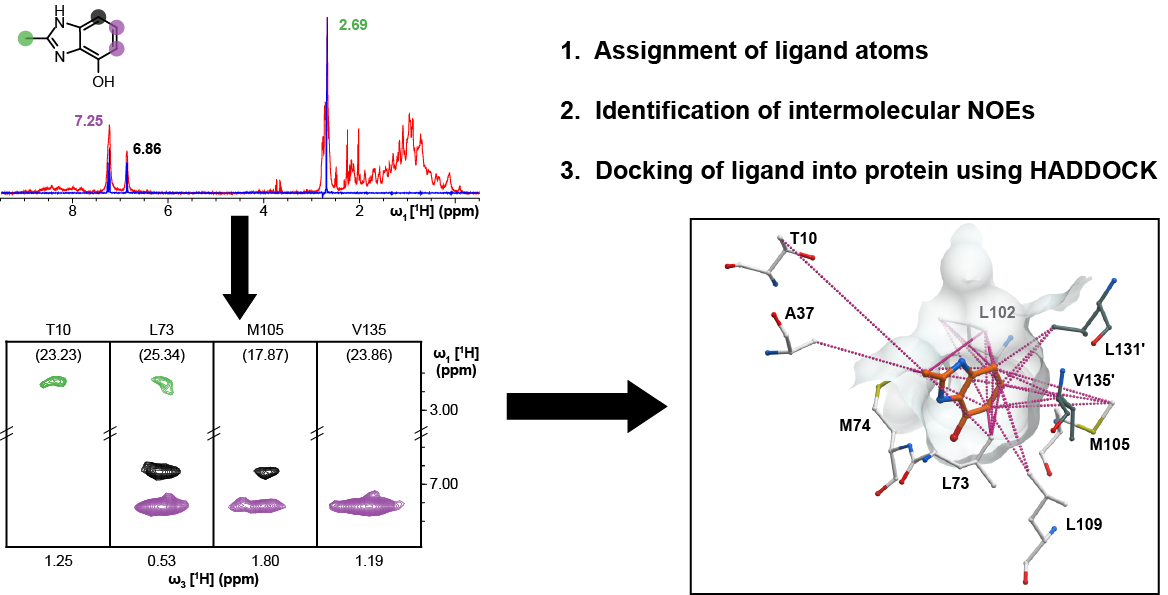 Webinar: High-Confidence Protein−Ligand Complex Modeling by NMR Guided Docking Enables Early Hit Optimization (2018-05-10)