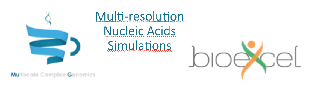 Experiences from the Joint MuG-BioExcel Workshop: Multiscale Nucleic Acids Simulations