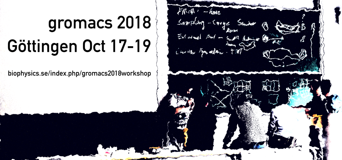 GROMACS 2018 developer / power-user workshop