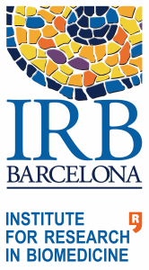IRB Barcelona - Institute for research in biomedicine