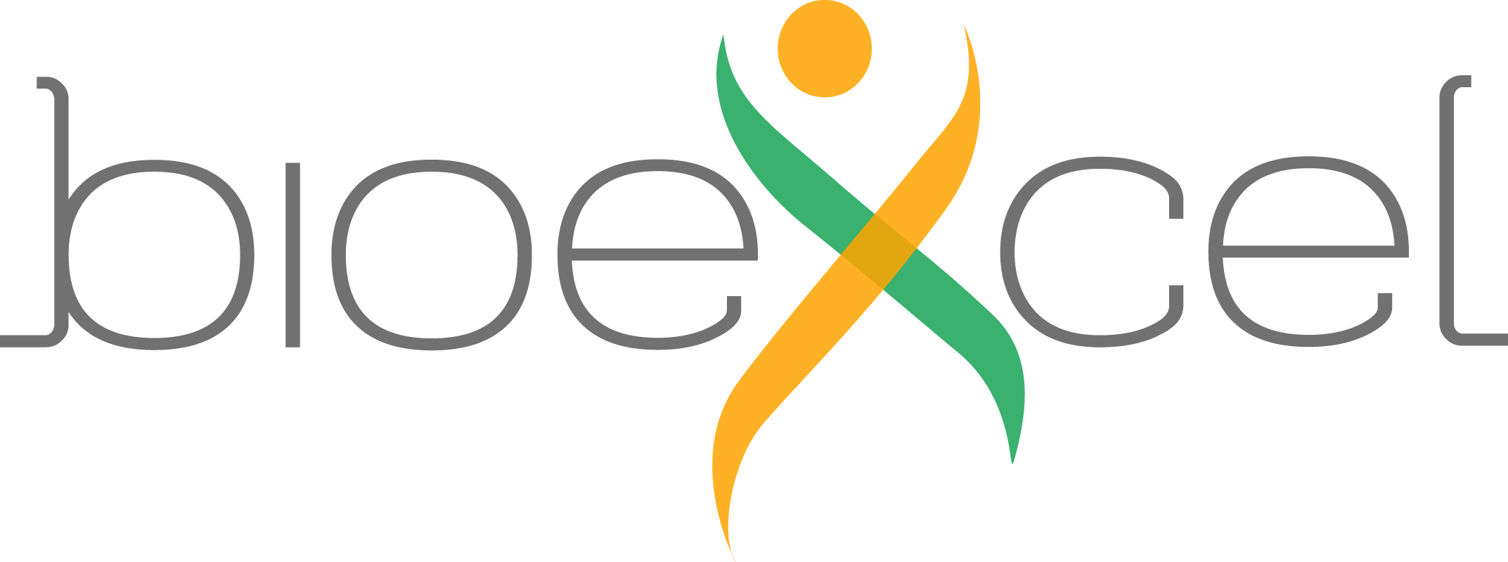 Bioexcel2 logo
