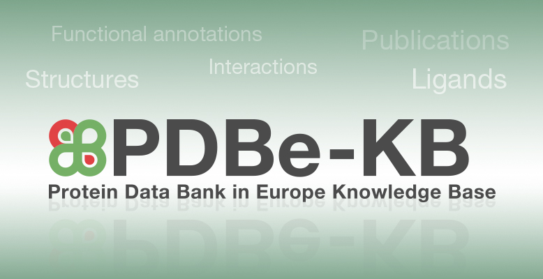 Making sense of PDB data with PDBe-KB