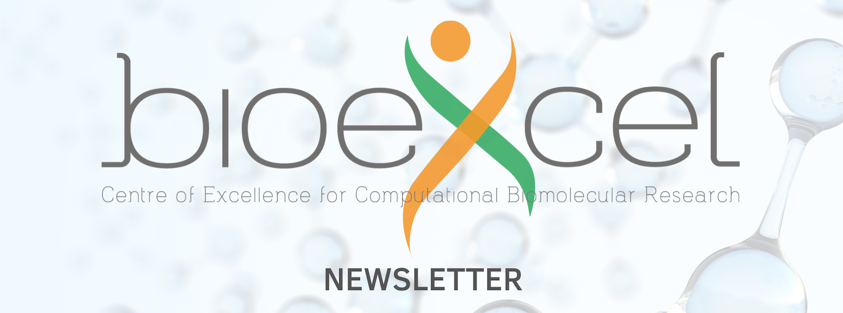 BioExcel NEWSLETTER 