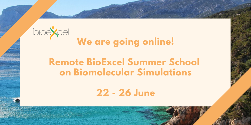 _BioExcel Summer School