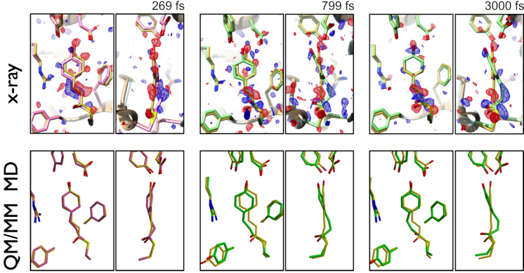 omparison of light-induced structural changes in the chromophore pocket of the Photoactive yellow protein between experiment (time-resolved serial femto-second X-ray crystallography, upper panels) and simulation (QM/MM molecular dynamics at the SA-CASSCF(12,11)/cc-pVDZ//Amber03 level of theory)