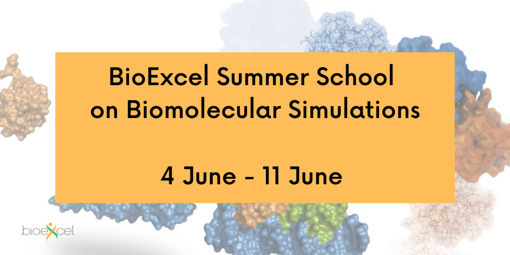 BioExcel Summer School on Biomolecular Simulations, 4 June to 11 June