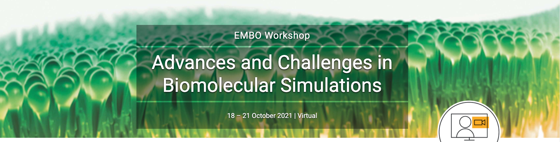 EMBO Workshop is organising the Advances and Challenges in Biomolecular Simulations conference