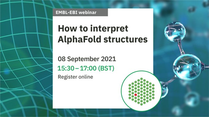 How to interpret Alphafold structures