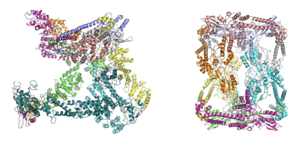 Cartoon representation, PDB IDs and cryo-EM map resolution of the selected 14 cryo-EM complexes