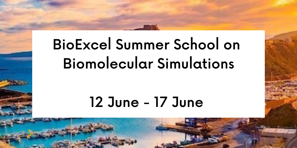 BioExcel School on Biomolecular Simulations, 12 - 17 June