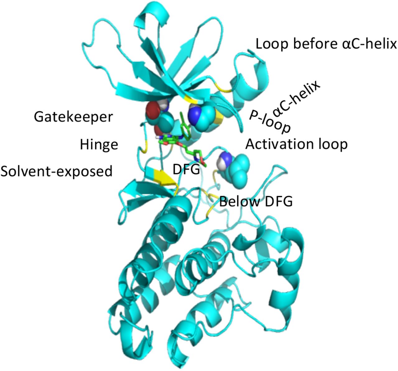 Prediction Of The Impact Of Genetic Variability On Drug Sensitivity For ...