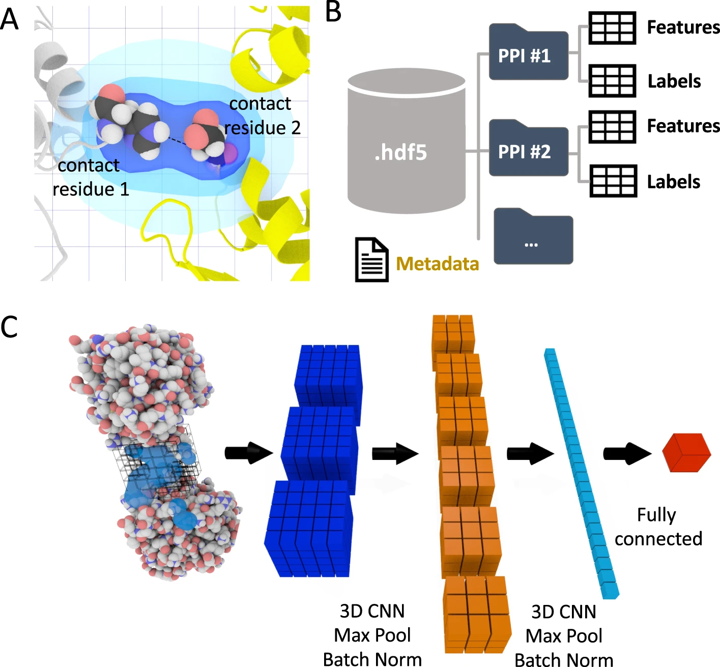 Figure 1 from DeepRank: a deep learning framework for data mining 3D protein-protein interfaces