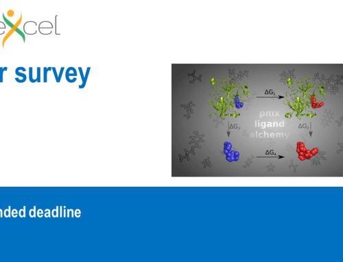BioExcel user survey: PMX